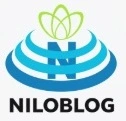   کانون ولایت صایین قلعه